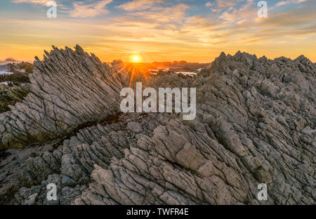 Le lever du soleil sur les formations rocheuses, la péninsule de Kaikoura, île du Sud, Nouvelle-Zélande Banque D'Images