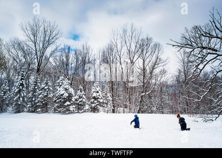 Deux garçons d'avoir une bataille de boules de neige, United States Banque D'Images