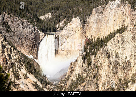 Lower Falls (de la rivière Yellowstone), vue de l'Artist point de vue. Banque D'Images