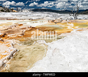 Vue sur les gisements miniers à Mammoth Terraces Trail, le Parc National de Yellowstone, WY 82190 Banque D'Images