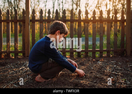 Garçon de planter des graines dans un jardin, United States Banque D'Images