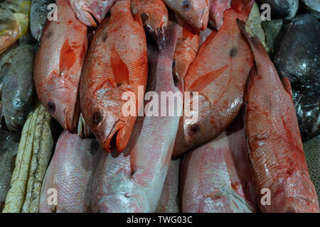 Tas de matières premières fraîches red snapper sur glace au marché de poissons de Kedonganan, Bali Banque D'Images