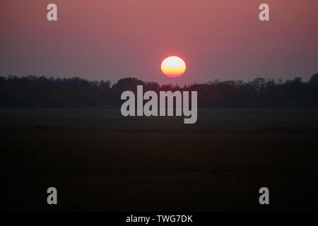 Fiery coucher du soleil dans le temps brumeux sur la forêt Banque D'Images