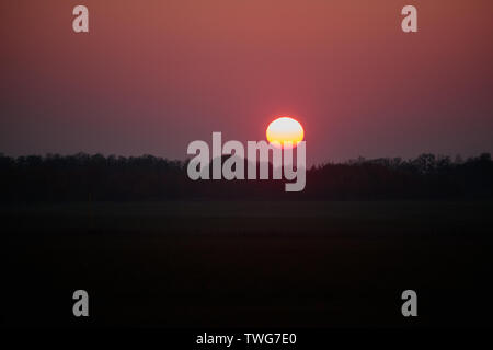 Fiery coucher du soleil dans le temps brumeux sur la forêt Banque D'Images