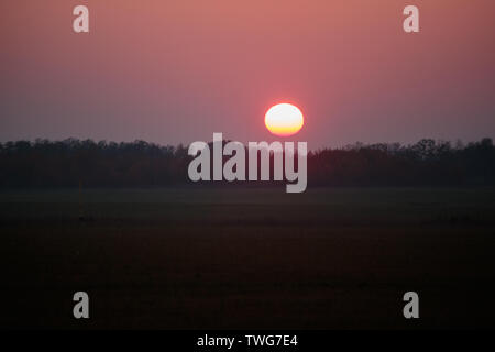 Fiery coucher du soleil dans le temps brumeux sur la forêt Banque D'Images