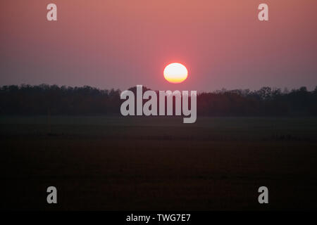 Fiery coucher du soleil dans le temps brumeux sur la forêt Banque D'Images