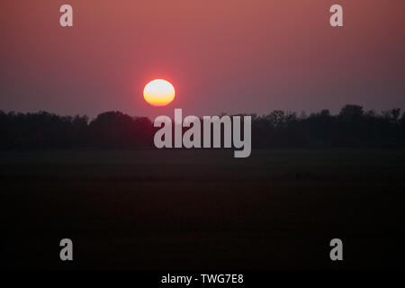 Fiery coucher du soleil dans le temps brumeux sur la forêt Banque D'Images