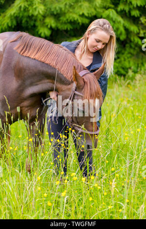 Caring woman nourrir son cheval arabe avec des collations dans le domaine Banque D'Images