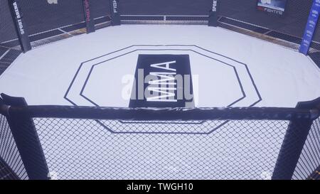 Un rendu 3D de MMA arena lutte cage Banque D'Images