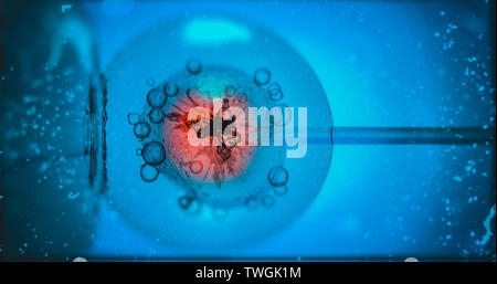 La fécondation in vitro. La FIV. Cellule sous microscope. La modification du génome sur mesure in vitro, l'embryon d'édition des gènes transgéniques bébé rendu 3D Banque D'Images