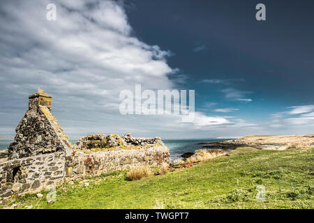 Ruiné croft house sur les rives du Loch Gruinart, presqu'Killinallan, Islay, Ecosse Banque D'Images