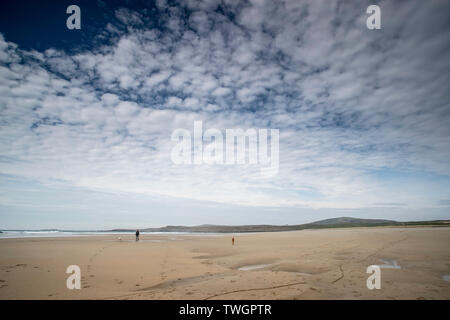 Lone dog-walker et chien sur une plage vide au soleil Banque D'Images