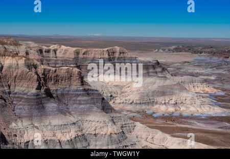 Photo de Forêt Pétrifiée et Blue Mesa Géologie colorée Banque D'Images