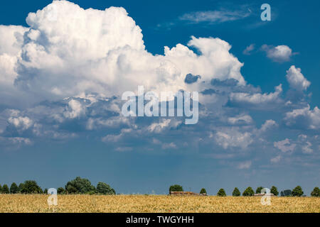 Les nuages de tempête, cumulonimbus au-dessus de champs de maïs, sombre ciel bleu et blanc la formation de nuages. La Grande Pologne. Banque D'Images