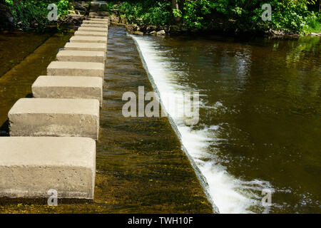 Pierres en béton de forme carrée traversant la rivière Skell et Weir, Ripon, North Yorkshire, Angleterre, Royaume-Uni. Banque D'Images