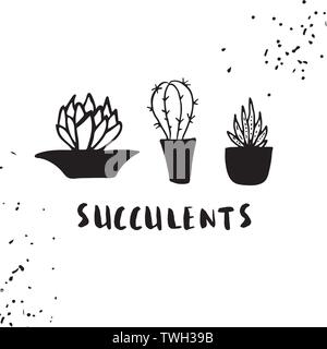 Ensemble de cactus, hand drawn vector illustration Illustration de Vecteur