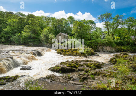 Les chutes (chutes) sur la rivière Teifi au village de Cenarth dans Carmarthenshire, Pays de Galles, Royaume-Uni Banque D'Images