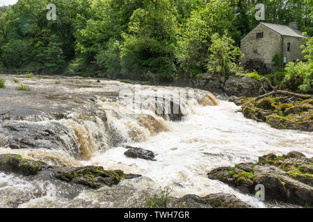 Les chutes (chutes) sur la rivière Teifi au village de Cenarth dans Carmarthenshire, Pays de Galles, Royaume-Uni Banque D'Images