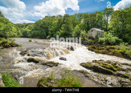 Les chutes (chutes) sur la rivière Teifi au village de Cenarth dans Carmarthenshire, Pays de Galles, Royaume-Uni Banque D'Images