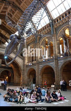 Rébellion Extinction protestataires au Musée d'histoire naturelle s'opposant à la NHM hébergeant un dîner pour le groupe pétrolier de la Société géologique. Banque D'Images