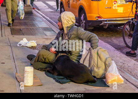 Etats Unis, New York. Le 3 mai 2019. Sans-abri et un chien assis sur le trottoir, demander de l'aide, le centre-ville de Manhattan Banque D'Images