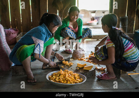 Après l'abattage de porcs dans le rituel chamanique village Akha, près de Phongsali, Laos, Asie. Banque D'Images