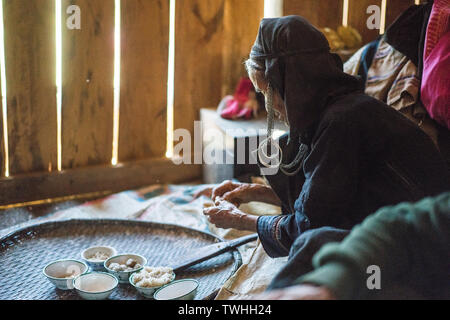 Après l'abattage de porcs dans le rituel chamanique village Akha, près de Phongsali, Laos, Asie. Banque D'Images