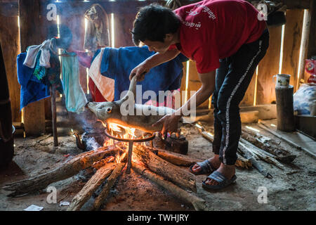 Après l'abattage de porcs dans le rituel chamanique village Akha, près de Phongsali, Laos, Asie. Banque D'Images