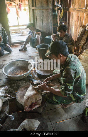 Après l'abattage de porcs dans le rituel chamanique village Akha, près de Phongsali, Laos, Asie. Banque D'Images