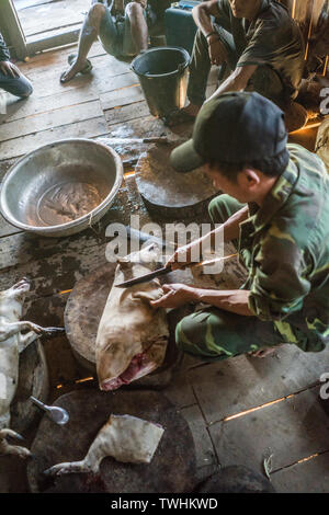 Après l'abattage de porcs dans le rituel chamanique village Akha, près de Phongsali, Laos, Asie. Banque D'Images