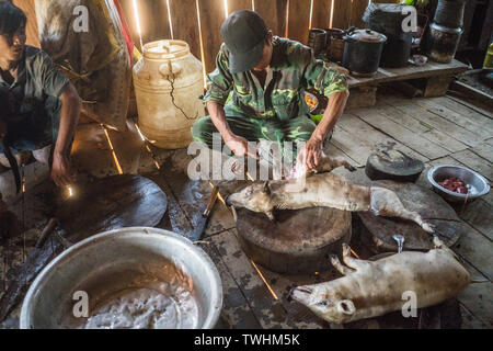 Après l'abattage de porcs dans le rituel chamanique village Akha, près de Phongsali, Laos, Asie. Banque D'Images