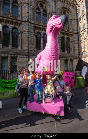 Londres, Royaume-Uni. 20 juin 2019. Rébellion Extinction organiser une soirée avec un géant à l'extérieur de la Dodo rose Museum d'histoire naturelle qui a été l'hôte du dîner annuel du groupe pétrolier de la Société géologique, célébrant leur exploration des combustibles fossiles. Le parti, ouvert par 10 ans, Elsie Luna qui avait essayé d'obtenir le musée d'annuler l'événement. Crédit : Peter Marshall/Alamy Live News Banque D'Images