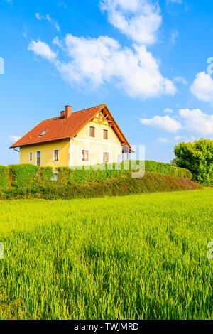 Yellow maison traditionnelle avec toit en tuiles rouges sur pré vert au printemps Paysage de Burgerland dans Strem village, Autriche Banque D'Images