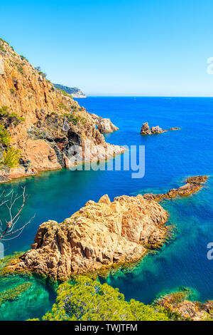 Vue sur mer magnifique crique de Cala Marquesa avec pins verts sur des falaises rocheuses, Costa Brava, Espagne Banque D'Images