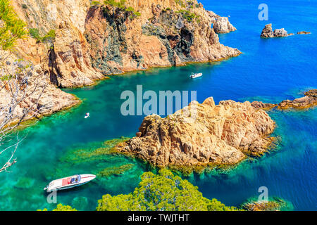 En Biats mer belle crique de Cala Marquesa avec pins verts sur des falaises rocheuses, Costa Brava, Espagne Banque D'Images