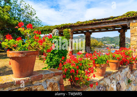 Pots sur mur de pierre le long du sentier côtier à Tossa de Mar, Costa Brava, Espagne Banque D'Images