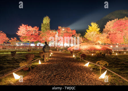 Couloir magnifique jardin illuminé dans Maple, fête traditionnelle de Kawaguchiko, Japon Banque D'Images