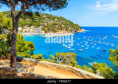 Point de vue sur baie magnifique avec des bateaux sur mer près de village de Llafranc, Costa Brava, Espagne Banque D'Images