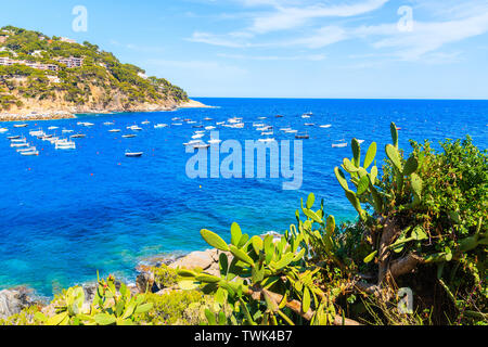 Magnifique baie avec des bateaux sur la mer et vue sur le village de Llafranc, Costa Brava, Espagne Banque D'Images