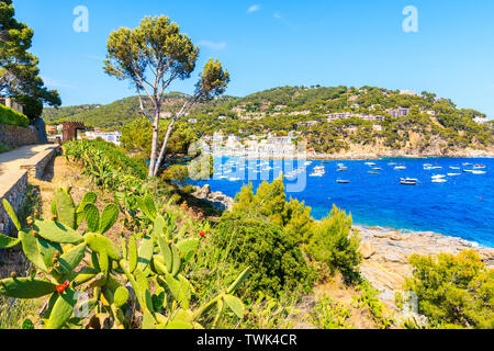 Magnifique baie avec des bateaux sur la mer et vue sur le village de Llafranc, Costa Brava, Espagne Banque D'Images