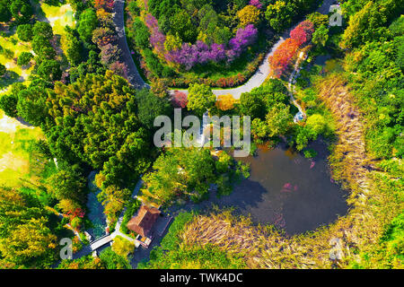 Décor de l'automne dans la région de la forêt dense écologique de la Nanjing Yuhuatai Scenic Area. Banque D'Images