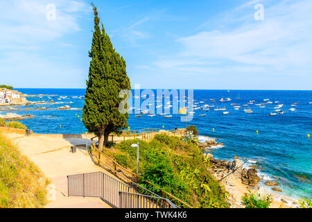 Avis de Calella de Palafrugell, pittoresque village de pêcheurs aux maisons blanches et de sable avec de l'eau bleu clair, Costa Brava, Catalogne, Espagne Banque D'Images