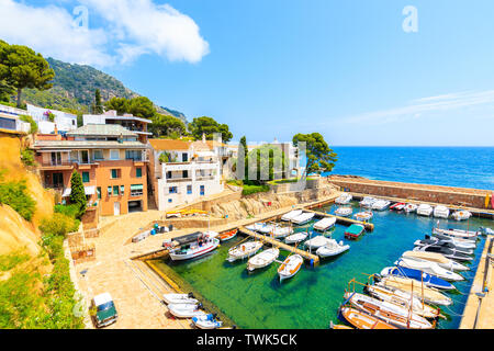 La pêche et la voile Bateaux dans port pittoresque village de Fornells, Costa Brava, Espagne Banque D'Images