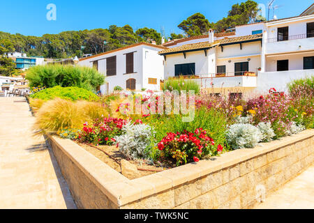 Promenade côtière avec des fleurs et des plantes et des bâtiments blancs typiques à Sa Riera village, Costa Brava, Espagne Banque D'Images