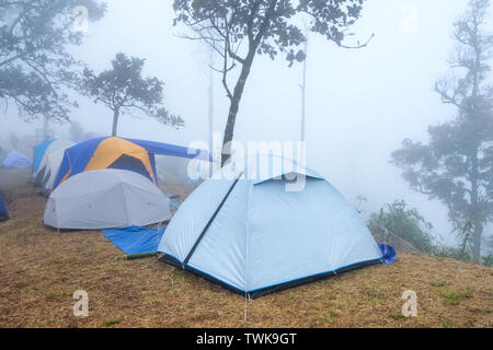 Camping tente de camping la prairie sèche sur le pic de montagne avec jour brumeux Banque D'Images