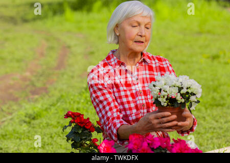 Fleurs blanches. De faire appel aux cheveux gris woman holding petit pot à fleurs blanches profiter matin ensoleillé