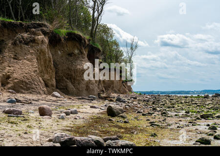 Sur la ligne de falaise weast coast de l'île allemande Poel avec forest sur le dessus et une plage de galets Banque D'Images