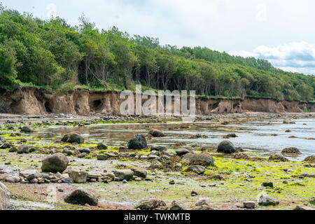 Sur la ligne de falaise weast coast de l'île allemande Poel avec forest sur le dessus et une plage de galets Banque D'Images