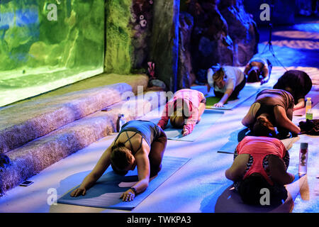 Brighton, Sussex, UK. 21 Juin, 2019. Le maire de la ville de Brighton & Hove Conseiller Alex Phillips s'associe à une classe de yoga à l'aquarium le vendredi 21 juin 2019 à Brighton, Brighton SEA LIFE. Photo par Julie Edwards/perspective féminine. Credit : perspective féminine Ltd/Alamy Live News Banque D'Images