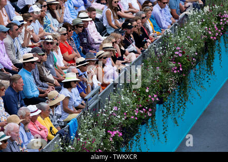 Queen Club, London, UK. 21 Juin, 2019. Le tournoi de tennis ATP Fever-Tree ; Panama hats sont exposés dans le club house coin à Queens Club : Action Crédit Plus Sport/Alamy Live News Banque D'Images